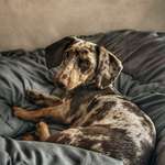 Ersteller:in Chris Profilbild