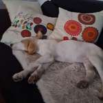 Ersteller:in Sabrina Profilbild