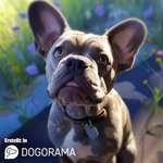 Ersteller:in J Profilbild