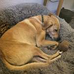 Ersteller:in Hannah Profilbild