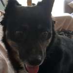 Ersteller:in Petra Profilbild