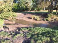 Hundeauslaufgebiet-Gundwiesen-Bild