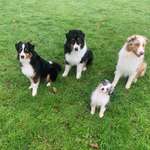 Ersteller:in Claudia Profilbild