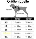 Hundegeschirr mit griff-Beitrag-Bild