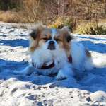 Ersteller:in Angelika Profilbild