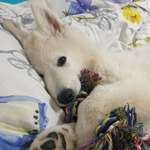 Ersteller:in Anne Profilbild