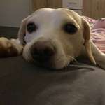 Ersteller:in Janina Profilbild