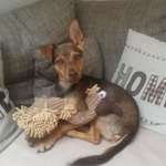 Ersteller:in Bettina Profilbild