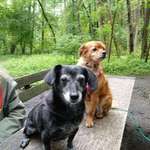 Ersteller:in Cornelia Profilbild