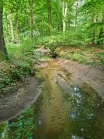 Hundeauslaufgebiet-Becke-Bild