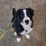 Ersteller:in Patrick Profilbild