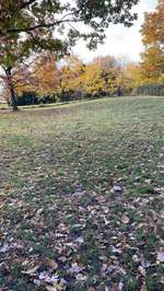 Hundeauslaufgebiet-Mitte - Florianstraße-Bild