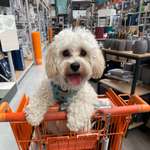 Ersteller:in Carina Profilbild