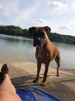 Hundeauslaufgebiet-Glörtalsperre-Bild