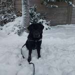 Ersteller:in Björn Profilbild