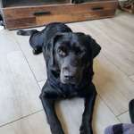 Ersteller:in Björn Profilbild