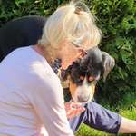 Ersteller:in Birgit Profilbild