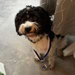 Ersteller:in Ricarda Profilbild