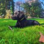 Ersteller:in Die Profilbild