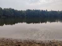 Hundeauslaufgebiet-Sandersfeld-Bild