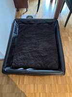 Kudde von Sabro - beliebtes Hundebett - Hälso100Plus
VB 170 CHF-Beitrag-Bild