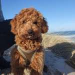 Ersteller:in Eva Profilbild