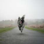 Ersteller:in Valerie Profilbild