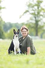 Smooth Collie oder kurzhaariger Collie-Beitrag-Bild