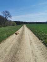 Hundeauslaufgebiet-Talsperre Zeulenroda-Bild