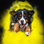 Ersteller:in Adi Profilbild