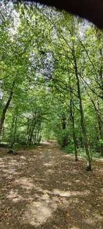 Hundeauslaufgebiet-Hessenschanze/Prinzenquelle-Bild