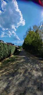 Hundeauslaufgebiet-Dorothea-Viehmann-Park-Bild