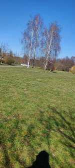 Hundeauslaufgebiet-Dorothea-Viehmann-Park-Bild