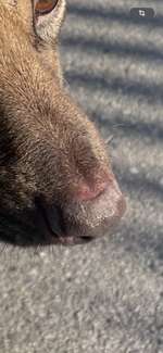 Pigmentverlust Gesicht-Beitrag-Bild