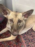 Pigmentverlust Gesicht-Beitrag-Bild