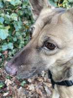 Pigmentverlust Gesicht-Beitrag-Bild