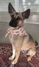 Pigmentverlust Gesicht-Beitrag-Bild