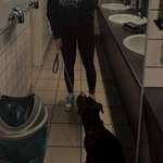 Ersteller:in Lisa Profilbild