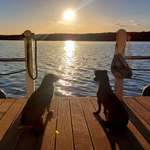 Ersteller:in Janine Profilbild