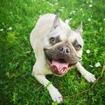 Ersteller:in Natalie Profilbild