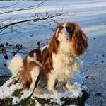 Ersteller:in Polina Profilbild