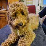 Ersteller:in Ralf Profilbild