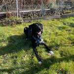 Ersteller:in Carina Profilbild