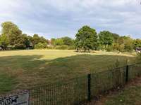 Hundeauslaufgebiet-Bürgerpark-Bild