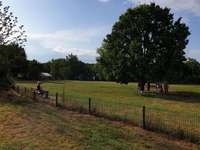 Hundeauslaufgebiet-Bürgerpark-Bild