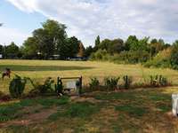 Hundeauslaufgebiet-Bürgerpark-Bild