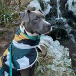 Ersteller:in Kevin Profilbild