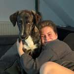 Ersteller:in Lucy Profilbild