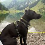 Ersteller:in Annika Profilbild