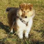 Ersteller:in Angelika Profilbild